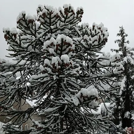 Il Giardino Di Cres Bed & Breakfast Esino Lario