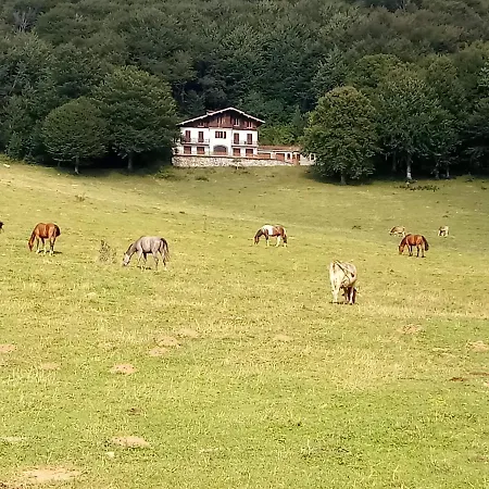 Il Giardino Di Cres 3* Esino Lario