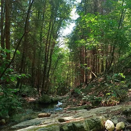 Il Giardino Di Cres Bed & Breakfast