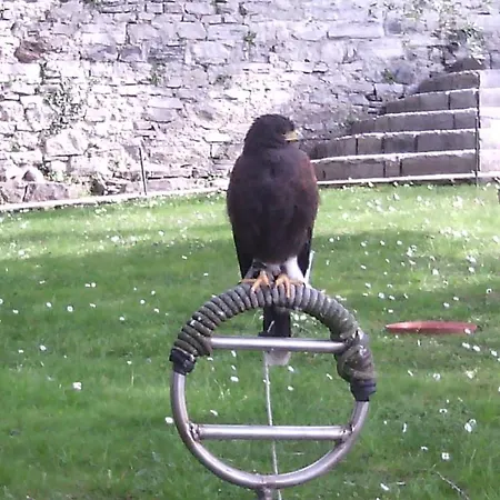 Nocleg ze śniadaniem Il Giardino Di Cres 3*