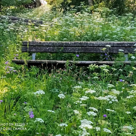 Il Giardino Di Cres Esino Lario