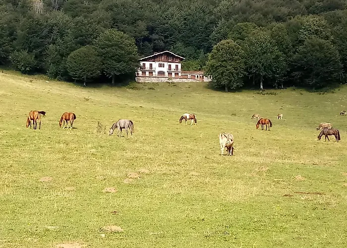 Il Giardino Di Cres 3* Esino Lario