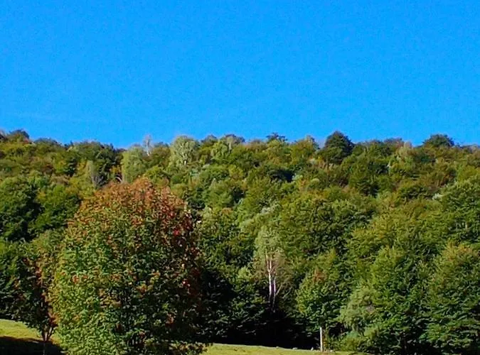 Il Giardino Di Cres Alojamento de Acomodação e Pequeno-almoço Esino Lario