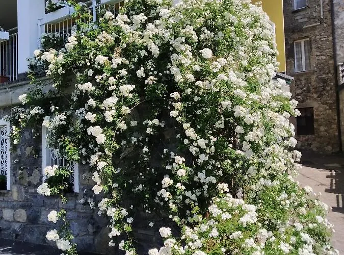 Il Giardino Di Cres Esino Lario