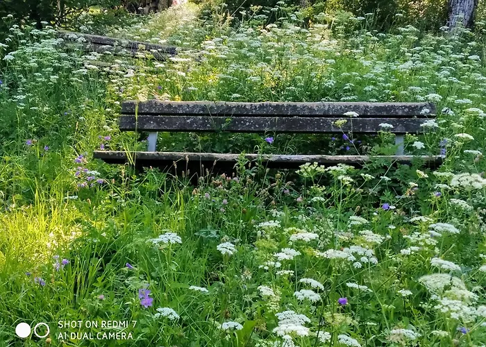 Il Giardino Di Cres Esino Lario
