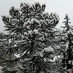 Il Giardino Di Cres Отель типа 